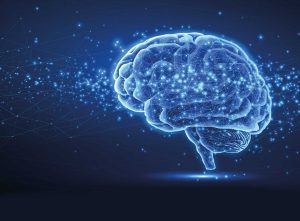 mri scanner, cognitie, onderzoek, connectiviteit, hersentraining, Cognitieve training, Cognitivefx, hersentraining, training reactievermogen, reactievermogen, aandacht, geheugen, fMRI, functionele MRI, geert-jan Rutten, paul depauw, Hazem al-khawaja, Vera Heyms, fysiotherapie, neurochirurgie, hersentumor, ETZ, Elisabeth-TweeSteden ziekenhuis, ziekenhuis, kliniek, revalidatiekliniek, revalidatiearts, hoofdpijn, overprikkeling, niet aangeboren hersenletsel, NAH, hersenschudding, klachten, duizelig, concentratie, nekpijn, prikkelgevoelig, gevoelig voor licht, gevoelig voor geluid, emoties, frustratie, beperkingen, beperkt, visuele training, neuromusculaire training, neurocracker, fitlights, fysieke training, sensomotorische training, blazepods